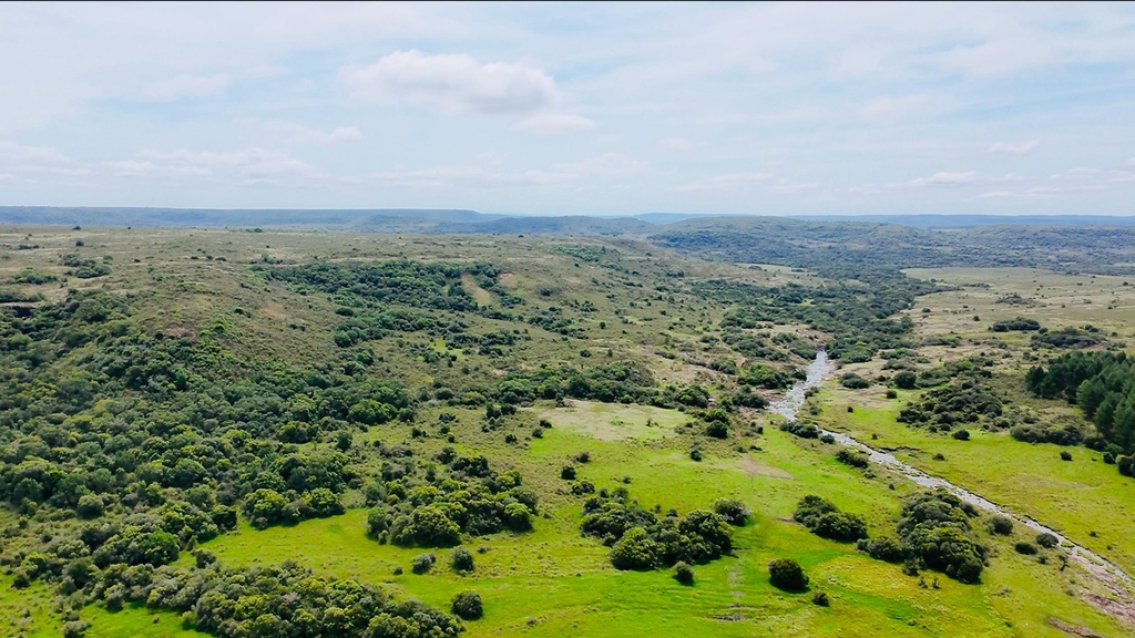 1765 Has - Tacuarembó